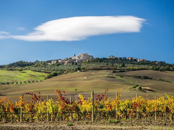 Eggers, Julie 아티스트의 Italy-Tuscany Colorful vineyards in autumn with blue skies and clouds작품입니다.